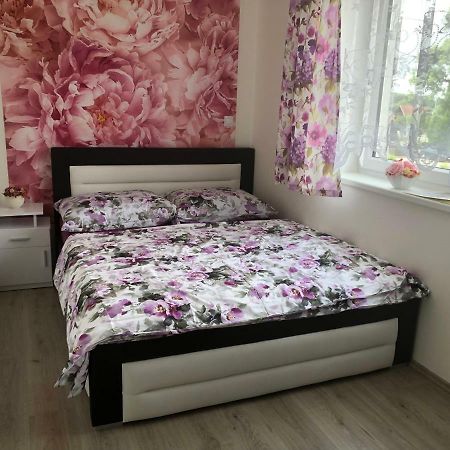 Apartman Na Lukach - Kopretina Třeboň 외부 사진